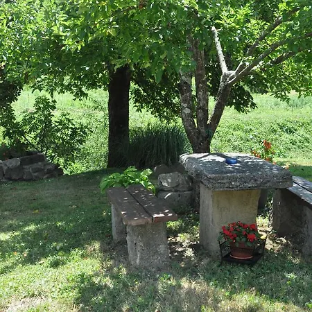 Marioni * Buzet