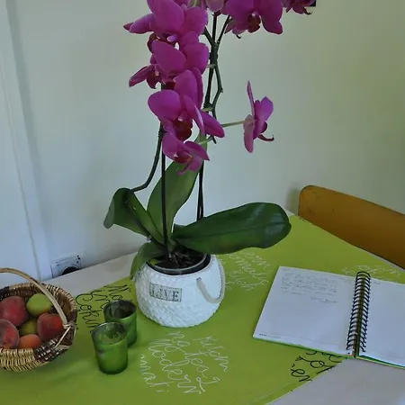 Apartment Marioni *