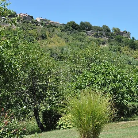Marioni * Buzet