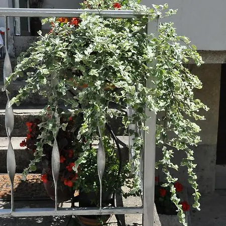 Апартаменты Marioni Бузет