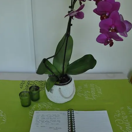 Marioni Apartmán Buzet